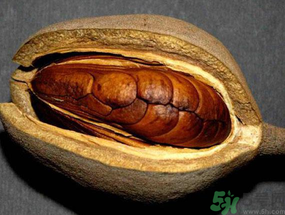 向天果多少錢一斤？向天果價(jià)格