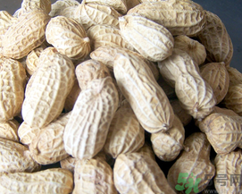 新鮮花生可以放冷凍嗎？新鮮花生可以放冰箱嗎？