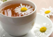 寒露喝什么茶好？寒露喝什么茶最養(yǎng)生？