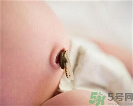 新生兒肚臍怎么護(hù)理？新生兒肚臍什么時(shí)候掉？