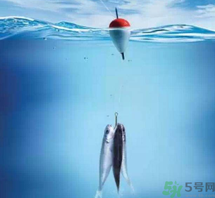 秋天釣魚(yú)深水還是淺水？秋天釣魚(yú)釣深水還是淺水？