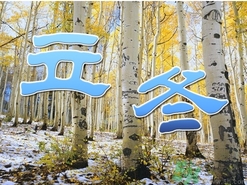 立冬可以栽樹嗎？立冬栽樹樹會(huì)死嗎？