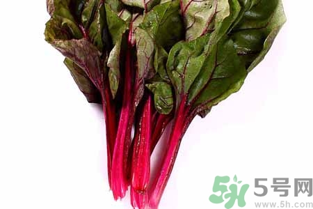 甜菜是甜的嗎？甜菜到底是不是甜的？
