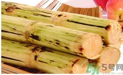 甘蔗過夜了能吃嗎？隔夜的甘蔗可以吃嗎？