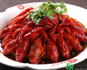 10月份還有龍蝦嗎？10月份龍蝦能吃嗎？