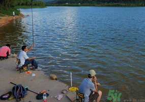 秋天釣魚是什么時(shí)候？秋天釣魚什么時(shí)候最好？