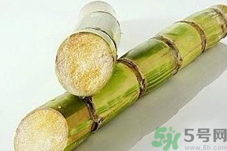 血糖高的人能吃甘蔗嗎？血糖偏高可以吃甘蔗嗎？