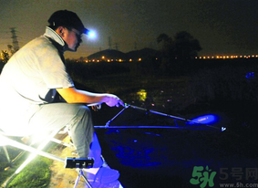 秋天可以夜釣嗎？秋天夜釣技巧