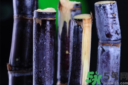 甘蔗一天吃多少最好？甘蔗能每天都吃嗎？