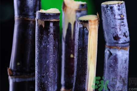 老人一天吃多少甘蔗最好？老人一天吃多少甘蔗合適？