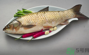 秋天怎么釣草魚？秋天草魚好釣嗎？