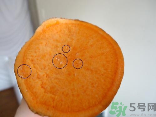 番薯發(fā)芽還能吃嗎？山芋發(fā)芽還能吃嗎？