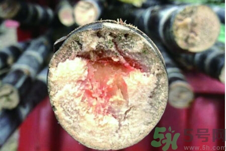 發(fā)霉的甘蔗吃了會中毒嗎？發(fā)霉的甘蔗長什么樣子？