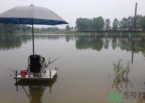 水庫釣魚用什么餌料？水庫釣魚用什么商品餌？