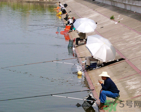 水庫釣魚用什么餌料？水庫釣魚用什么商品餌？