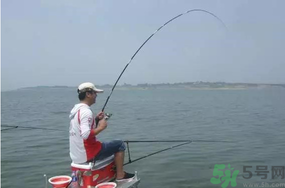 陰天好釣魚嗎？陰天釣魚好釣嗎？