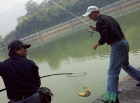 秋季釣黑魚用什么魚餌？秋天釣黑魚用什么餌？