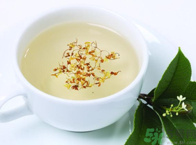 新鮮桂花能泡茶嗎？新鮮桂花怎么處理泡茶？
