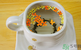 剛摘的桂花可以泡茶嗎？剛摘的桂花能泡茶嗎？