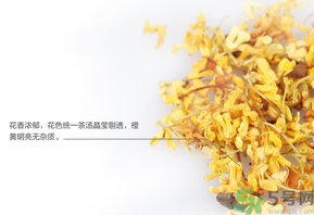 新鮮桂花可以泡水喝嗎？新鮮桂花泡水喝有什么好處？