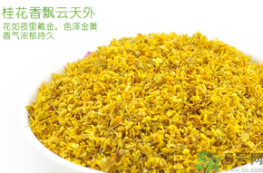 剛摘的桂花有蟲(chóng)怎么辦？干桂花長(zhǎng)蟲(chóng)怎么辦？