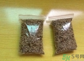 桂花怎么曬干？桂花曬好后可以做什么？