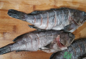 黑魚怎么洗掉身上的粘液？黑魚怎么洗才干凈？