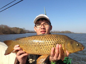 夜釣鯉魚用什么餌料？秋天夜釣鯉魚用什么餌料？