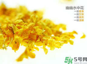 桂花可以泡水喝嗎？桂花怎么泡水？
