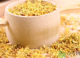 新鮮桂花能泡茶嗎？新鮮怎么處理泡茶？