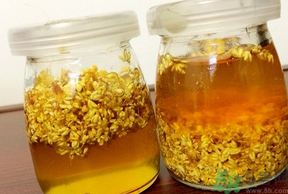 干桂花可以做桂花蜜嗎？干桂花怎么做桂花蜜？