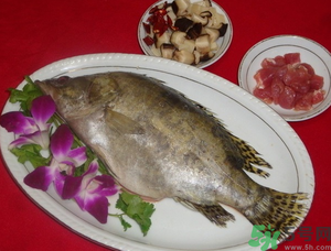 桂魚怎么保存？桂魚放冰箱怎么保存？