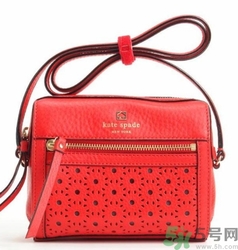kate spade和coach哪個好？凱特絲蓓好還是蔻馳好？