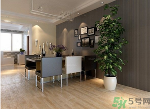 桂花樹可以種在室內(nèi)嗎？桂花樹適合在室內(nèi)嗎？