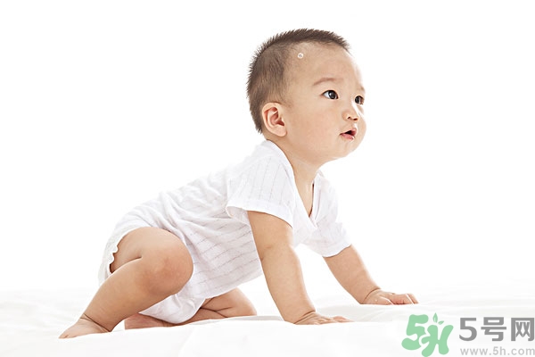吃南瓜子可以打蟲嗎,南瓜子能打蛔蟲嗎？