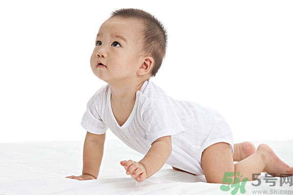 吃南瓜子可以打蟲嗎,南瓜子能打蛔蟲嗎？