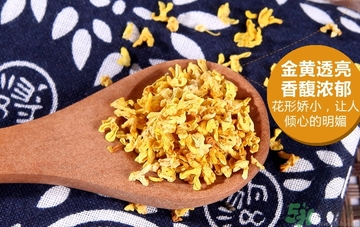 喝桂花茶會上火嗎？喝桂花茶上火怎么辦？