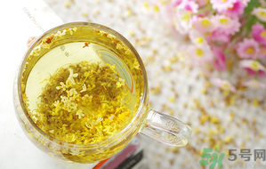 月經(jīng)期能喝桂花茶嗎？經(jīng)期能喝桂花茶嗎？