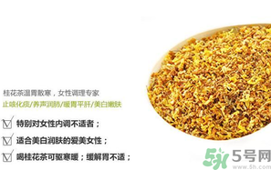 月經(jīng)期能喝桂花茶嗎？經(jīng)期能喝桂花茶嗎？