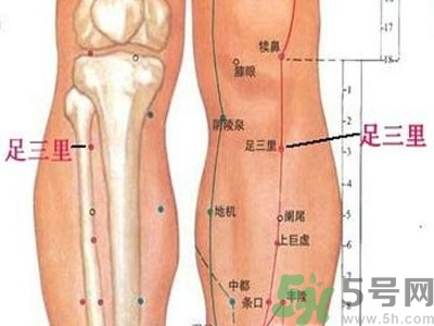 艾灸足三里有什么好處？艾灸足三里的功效