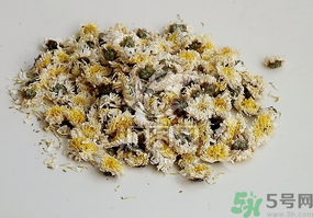 干菊花長(zhǎng)蟲(chóng)怎么辦？干菊花長(zhǎng)蟲(chóng)還能喝嗎？