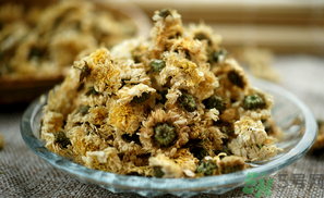 干菊花長(zhǎng)蟲(chóng)怎么辦？干菊花長(zhǎng)蟲(chóng)還能喝嗎？