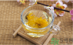 菊花茶可以天天喝嗎？菊花茶喝多了會(huì)怎么樣？