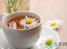 菊花茶可以天天喝嗎？菊花茶喝多了會(huì)怎么樣？
