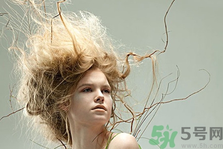 冬天用什么梳子比較好？頭發(fā)總愛(ài)靜電用什么梳子好？