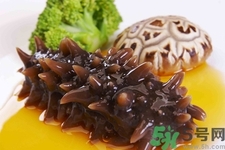 吃海參會上火嗎？經(jīng)常吃海參會上火嗎？