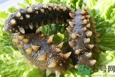 新鮮海參怎么吃最有營養(yǎng)？新鮮海參生吃最有營養(yǎng)嗎？