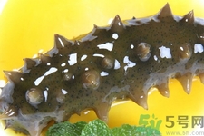 新鮮海參怎么吃最有營養(yǎng)？新鮮海參生吃最有營養(yǎng)嗎？