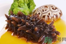 小孩能吃海參嗎？四種人不適合吃海參