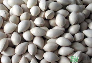 吃白果有什么好處和壞處？吃白果有什么作用？